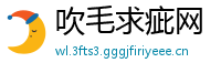 吹毛求疵网